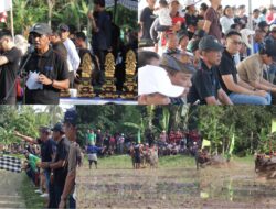 Makepung Lampit 2024 Digelar, Sekda Budiasa Inginkan Tradisi Makepung Terus Dikembangkan