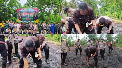 Dukung Swasembada Pangan Nasional,  Penanaman Jagung Serentak Satu Hektar di Jembrana