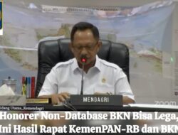 Honorer Non-Database BKN Bisa Lega, Ini Hasil Rapat KemenPAN-RB dan BKN