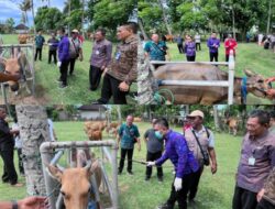 Antisipasi Penyakit Pada ternak, Dinas Pertanian Dan Pangan Jembrana Gelar Pelayanan Kesehatan Hewan Terpadu