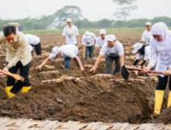 Wapres Gibran Tanam dan Panen Tebu di Banyuwangi: Dorong Swasembada dan Kedaulatan Pangan Nasional