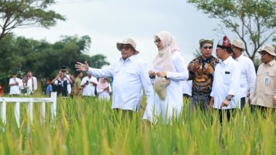 Luncurkan “Sunwangi”: Beras Biofortifikasi Bernutrisi Tinggi Pertama Banyuwangi Skala Industri di Indonesia