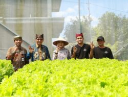 Bupati Ipuk Kunjungi Kebun Hidroponik Milik Saiful Bahri yang Sukses Budidaya Selada di Desa Sepanjang