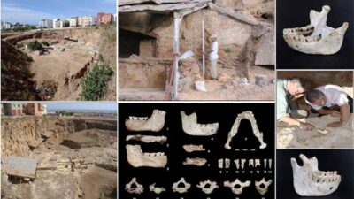 Fosil Pertama dari Periode Evolusi Manusia Ditemukan di Maroko