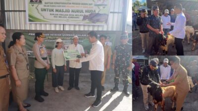 Bupati Kembang dan Wabup Patriana Serahkan Hewan Qurban ke Semua Masjid di Jembrana