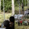 Pemkab Jembrana Salurkan 5 Traktor Kementan dan Panen 35 Ton Labu di Melaya
