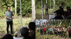 Pemkab Jembrana Salurkan 5 Traktor Kementan dan Panen 35 Ton Labu di Melaya